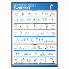 Gym workout posters exercises - workout,