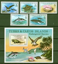 Turks + Caicos 1979 - Dolphin