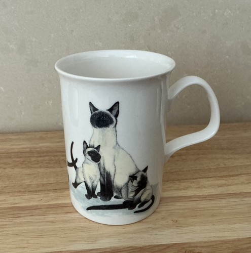 Roy kirkham cat - roy,