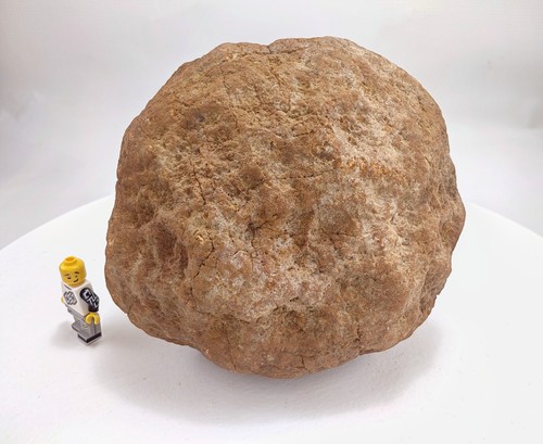 Unopened geode non - 6", rattler