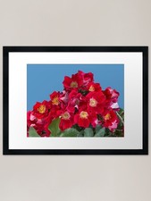 Heirloom Red Roses Framed Art