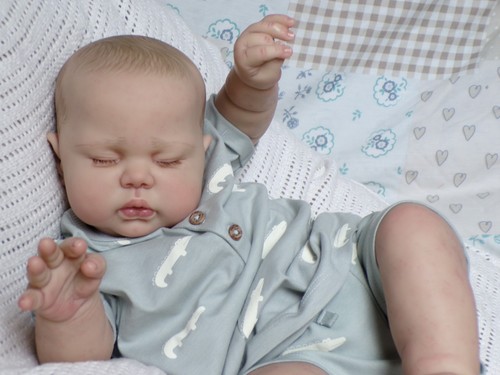 Reborn baby boy doll pickle - doll,