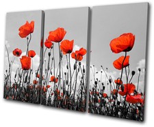 Floral Poppies Flowers TREBLE