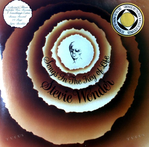 Stevie wonder songs in the - -,