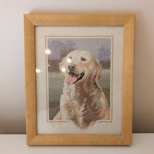 Golden retriever john stubbs - golden,