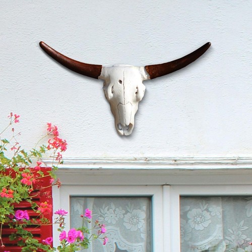 Skull animal head - skull, wall