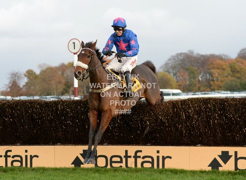 Cue card paddy - cue,