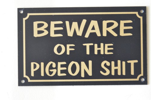 Beware the pigeon - beware, sh*t