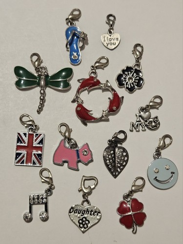 Mixed enamel clip charms - mixed,