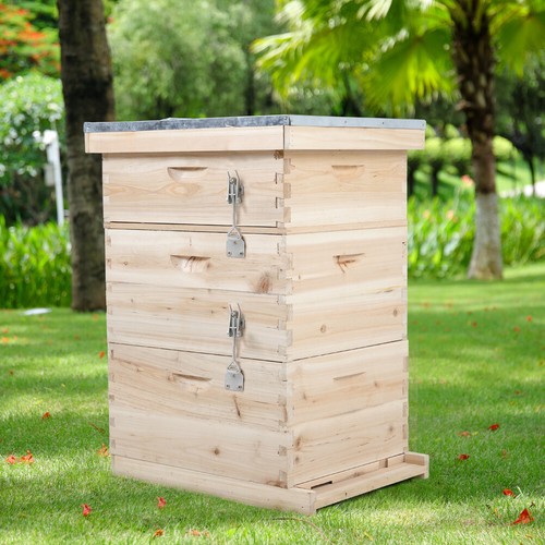 Tiers langstroth beehive box - beehive,