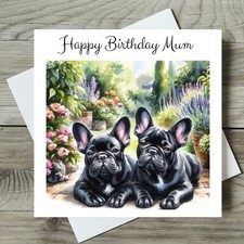 French bulldog card - french,