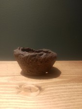 Walsall Studio Ceramics Bonsai