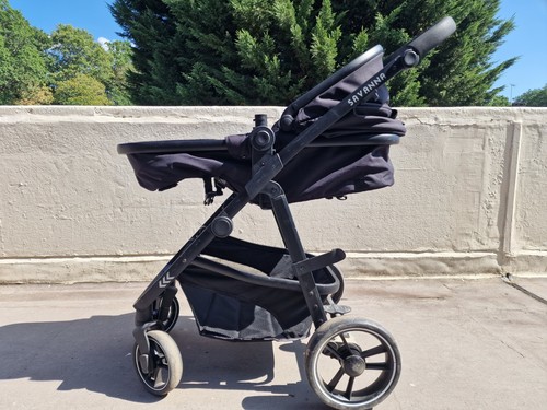 Red kite push savanna - push,