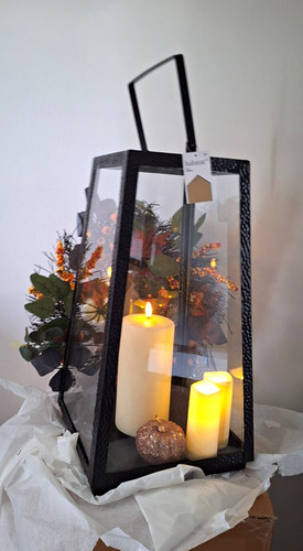 Tall square habitat - square,