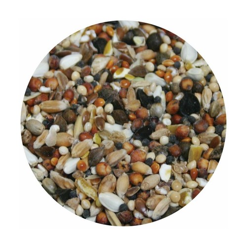 Copdock mill pigeon - copdock,