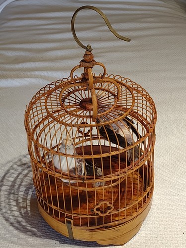Vintage chinese bamboo - bamboo, song