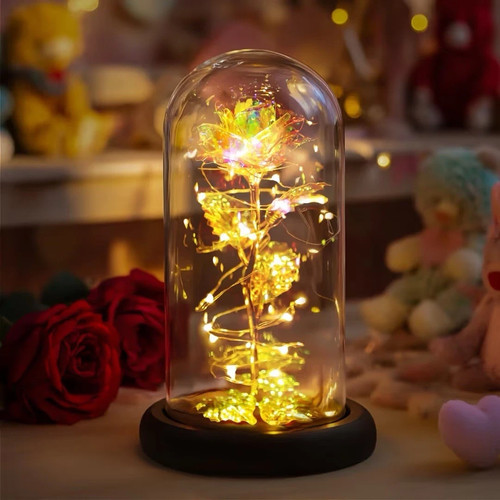 Fary rainbow light rose - rainbow, in