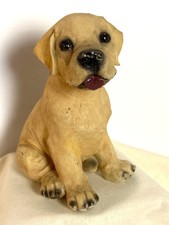 Yellow Labrador Puppy Dog