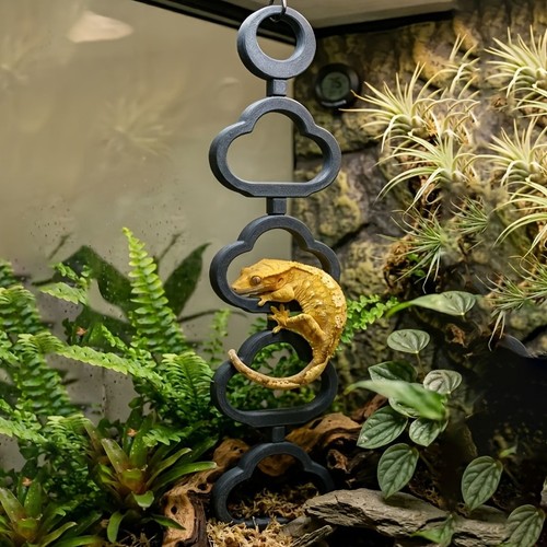 Geckos climbing perch - geckos,