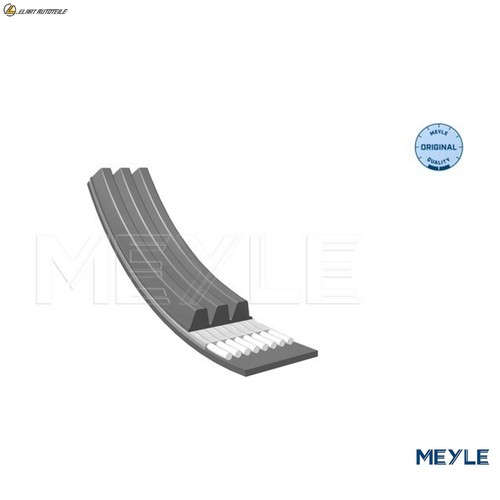 Ribbed belt 050 - v-ribbed,