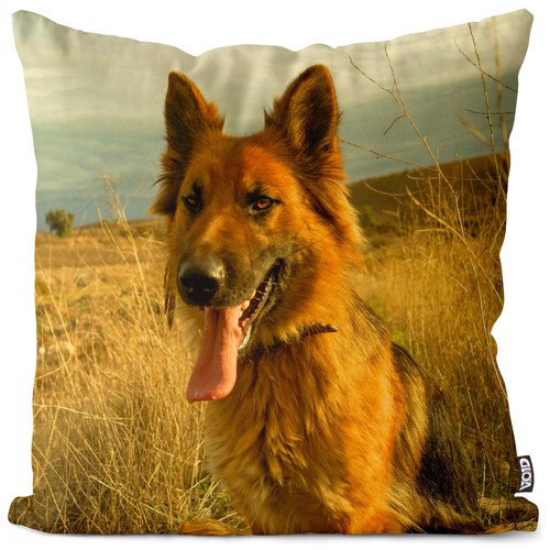 German shepherd cushion - german,