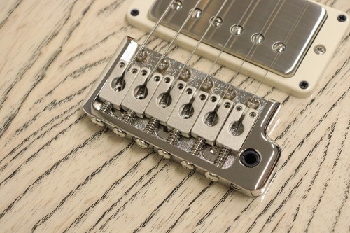 Prs swamp ash special electric - ash,