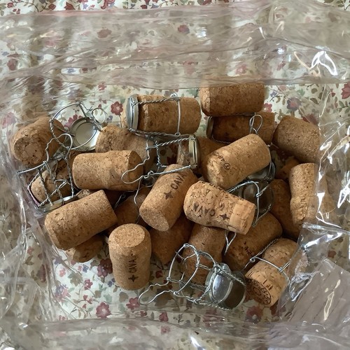 Champagne cava prosecco - cava,