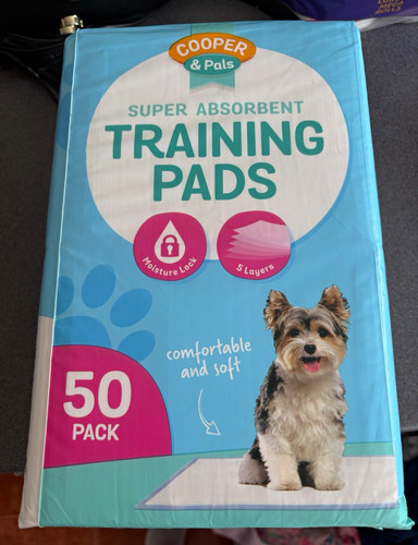 Cooper pals training - cooper,