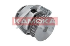 Water pump T0024 KAMOKA for