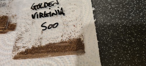 Golden virginia tobacco seeds - virginia),
