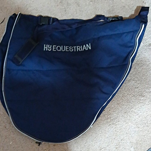 Equestrian blue horse - hy,