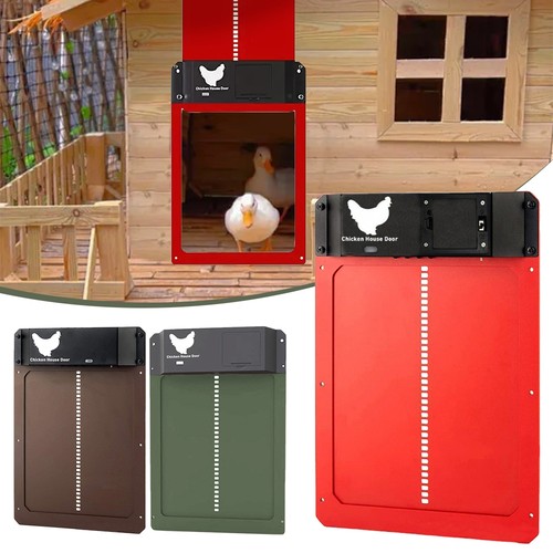 New automatic chicken coop - automatic,