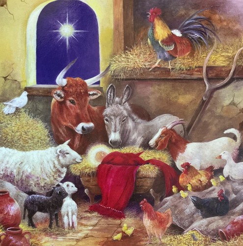 Farm animal charity christmas - animal,