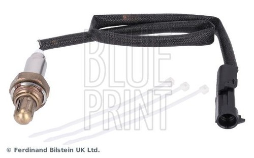 Blue print adg07049 - print,