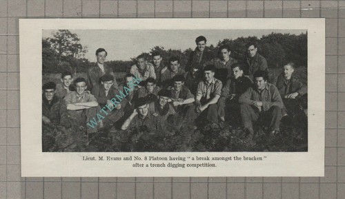 C3643 the cheshire - c3643), regiment