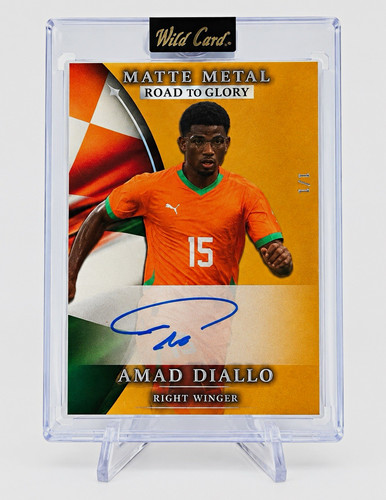 Wild card matte metal - wild, to
