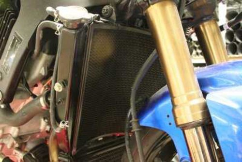 Radiator guard protector - r&g,