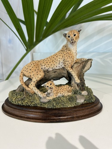 Country artists cheetah cub - country,