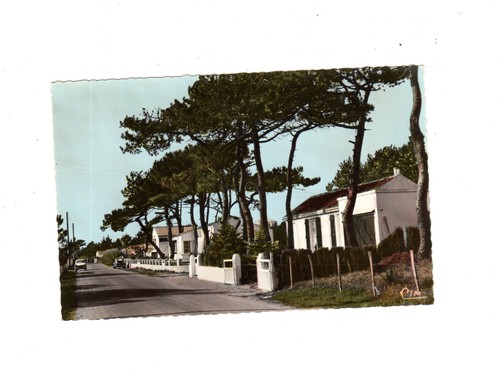 Postcard cpsm vendée le - cpsm,