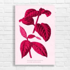 Botanical Leaves Pink Canvas