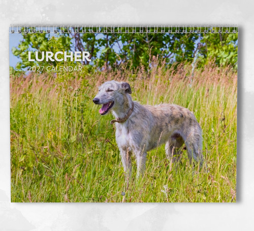 Lurcher calendar 2027 monthly - calendar,
