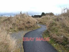 PHOTO  THE JOLLY DROVERS MAZE