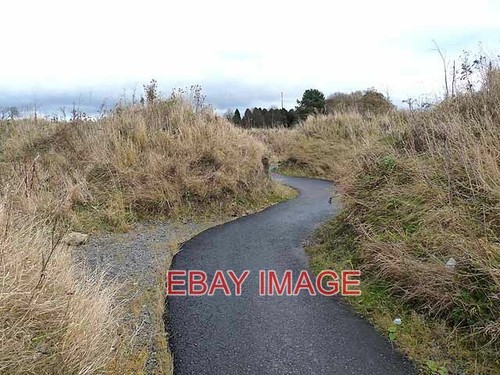 Photo the jolly drovers maze - photo,