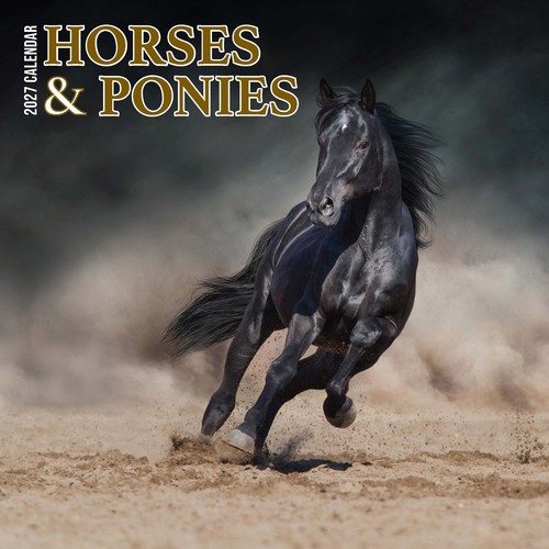 Horses ponies 2027 - &,