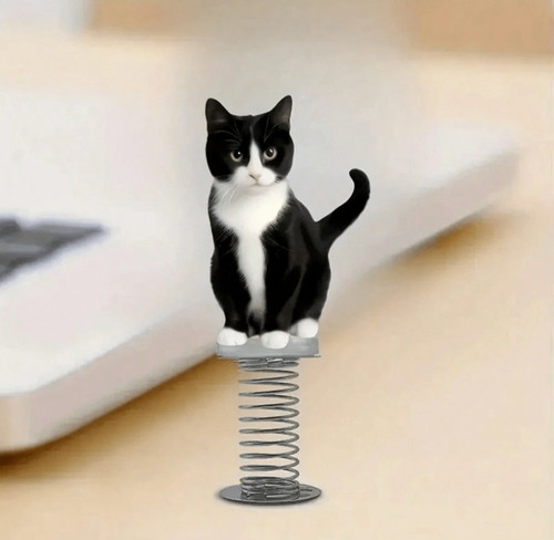 Black white tuxedo - &, cat