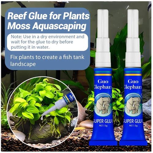 Aquascaping adhesive safe - adhesive,