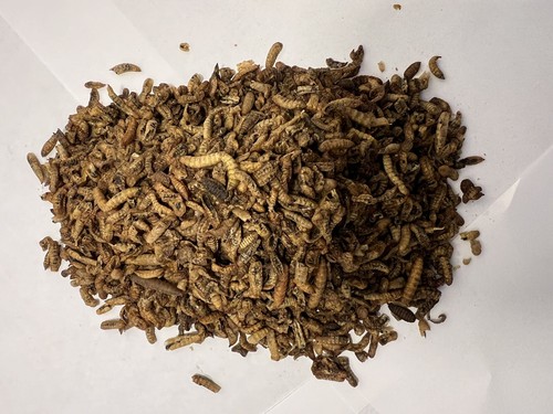 Dried calci worms 150g bsfl - worms, 150g,