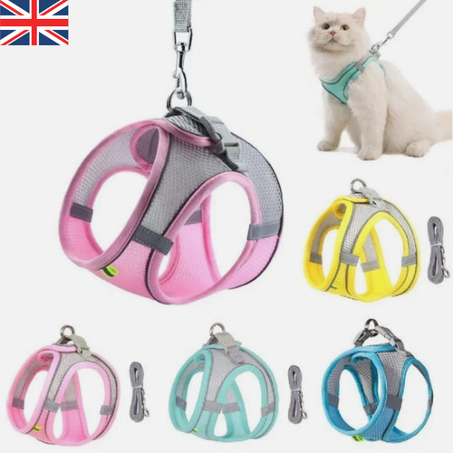 Dog harness and leash - dog,