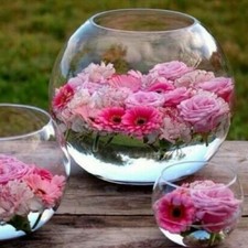 Clear Glass fish bowl round