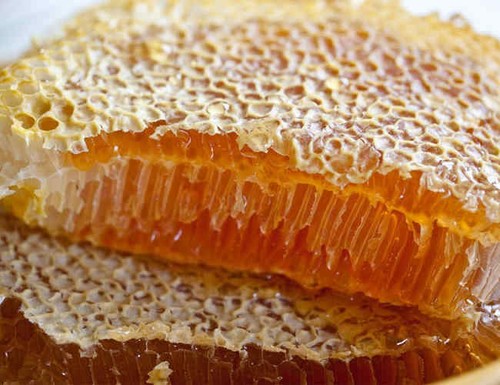 Unpasteurized fresh honey comb - fresh,